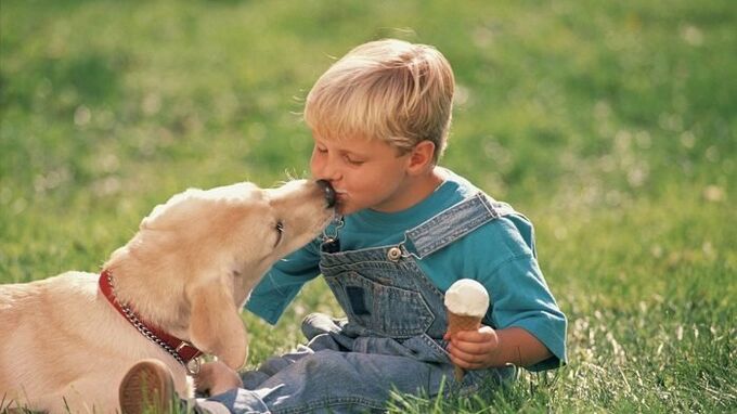 a boy gets a worm from a dog